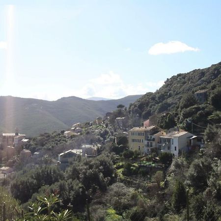 Casa Di Maria Hotel Rogliano Екстериор снимка