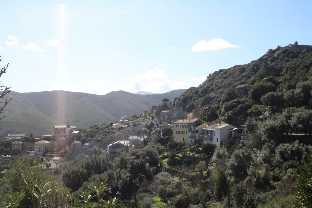 Casa Di Maria Hotel Rogliano Екстериор снимка